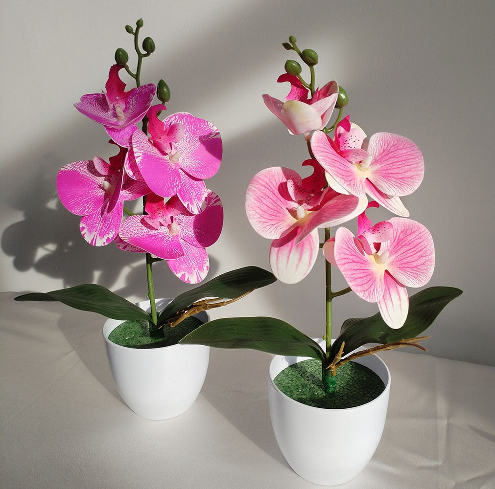 Bonsai simulado borboleta orquídea artificial vaso planta mesa de jantar