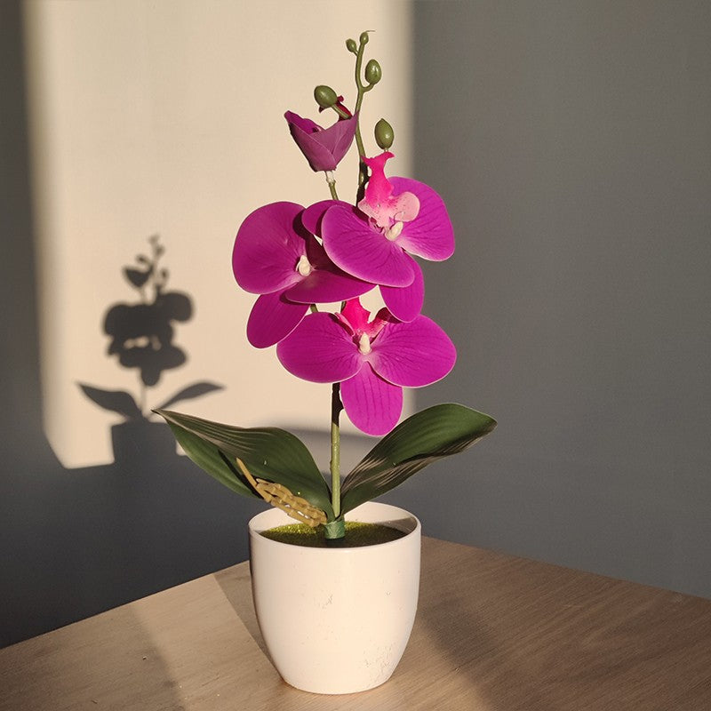 Bonsai simulado borboleta orquídea artificial vaso planta mesa de jantar