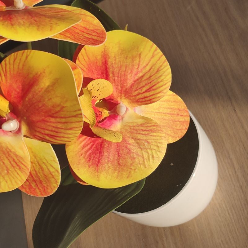 Bonsai simulado borboleta orquídea artificial vaso planta mesa de jantar