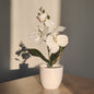 Bonsai simulado borboleta orquídea artificial vaso planta mesa de jantar